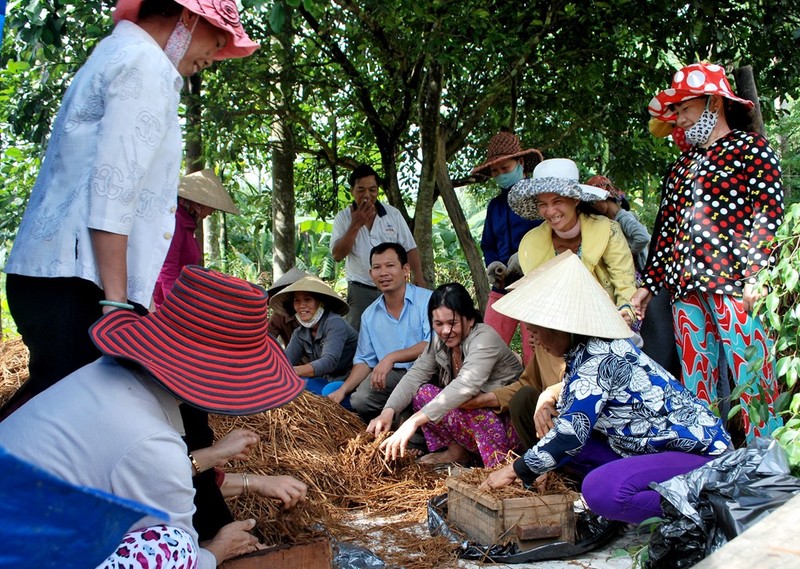 Anh nong dan Quang Ngai thu nua ty moi nam nho trong nam-Hinh-9