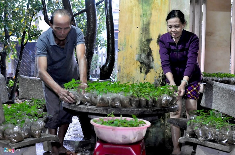 Hang nghin nha dan Quang Ngai ngap sau trong lu-Hinh-5