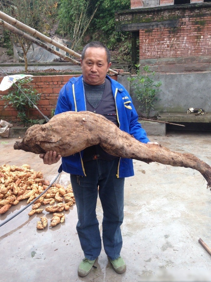 Cu san khong lo giong het hinh chan nguoi o Trung Quoc