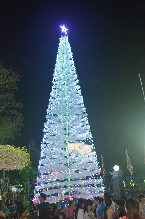 Nguoi Sai Gon thich thu voi tuyet roi trang troi mua Noel-Hinh-10