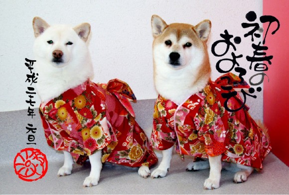 Chet me voi dan cho Nhat Ban dien kimono don nam moi-Hinh-9