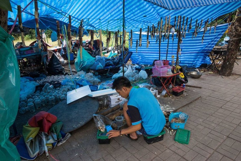 Ky quac cuoc thi choi bo canh cung o Thai Lan-Hinh-7