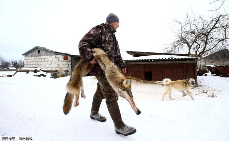 Ghe ron canh bat giet soi o khu vuc hoang da o Ukraina-Hinh-10