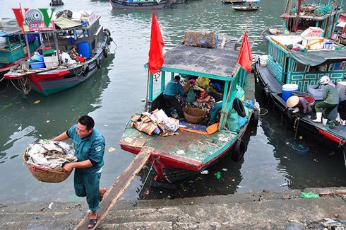 Vinh Ha Long dang oan minh vi nuoc thai va rac