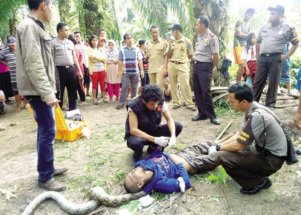 Giat ban minh voi nhung man tran, ran tan cong nguoi ghe ron-Hinh-9