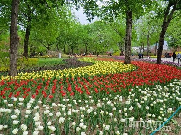 Xao xuyen long ngam Bac Kinh mua 