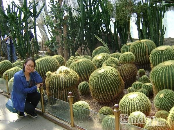 Xao xuyen long ngam Bac Kinh mua 