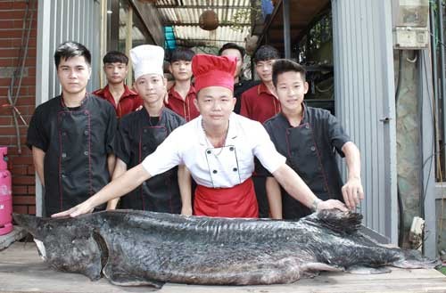 Ca tam den ong, nang 100kg tu Nga “bay” ve Ha Noi