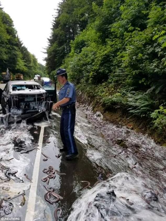 Ron nguoi canh nghin con luon &quot;nhay nhua&quot; tren duong cai-Hinh-3