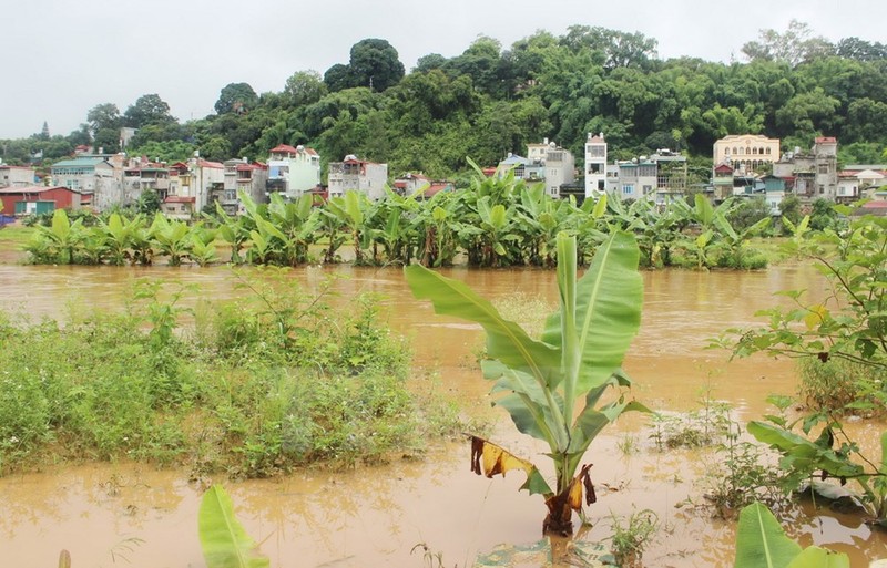 Nhieu khu vuc tai tinh Son La bi ngap ung do mua lu-Hinh-5