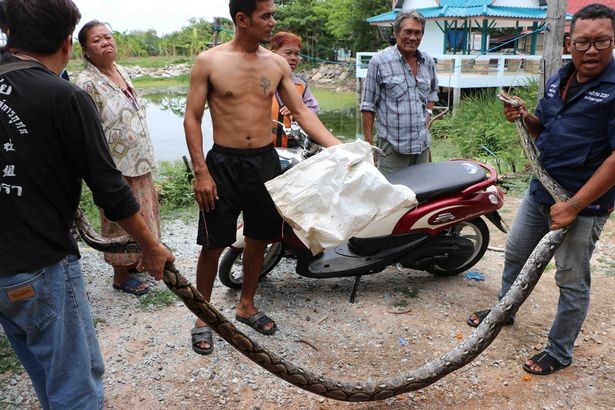 Can canh bat tran khong lo nap trong nha tan cong nguoi-Hinh-10