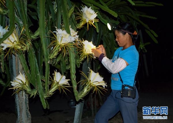 Ngo hoa co tich ngoai doi that, ban se choang ngop voi su thuc-Hinh-3