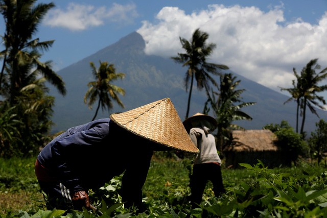 Bali hoi hop cho nui lua phun trao-Hinh-9