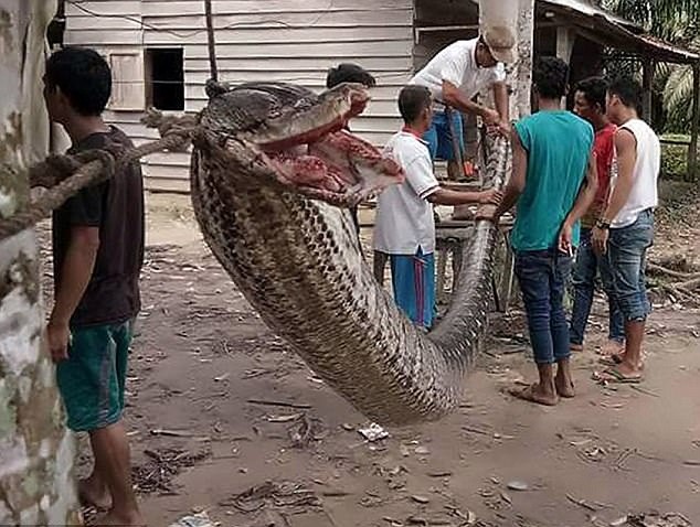 Tu chien tran khong lo 7m, nguoi dan ong lam duoc dieu khong tuong