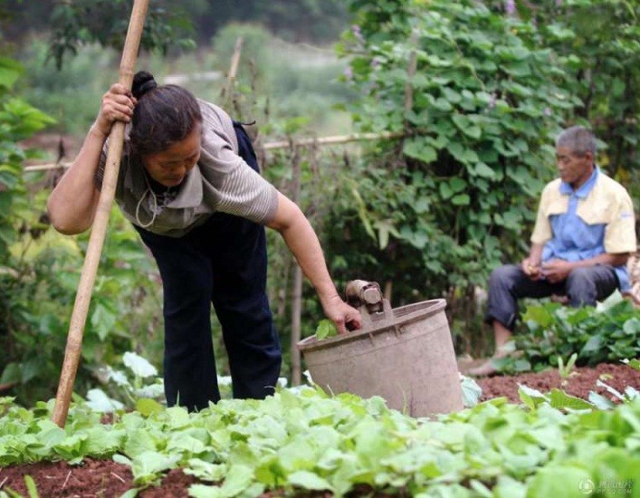 30 nam cong vo tren lung... an tinh sau nang nguoi nguoi cam phuc-Hinh-6