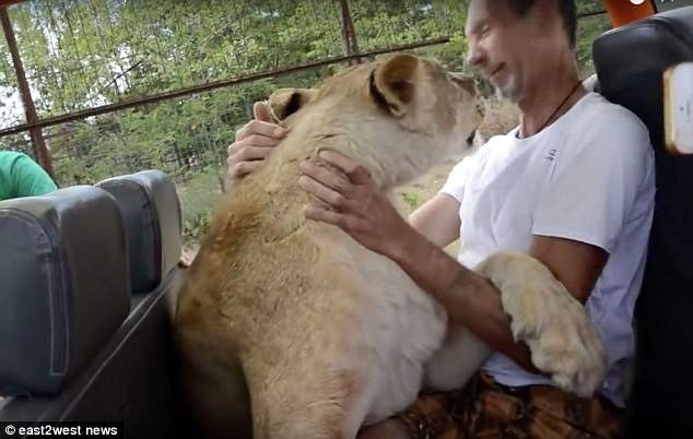 Su tu cai nhay xe du khach va om hon gay bat ngo-Hinh-2