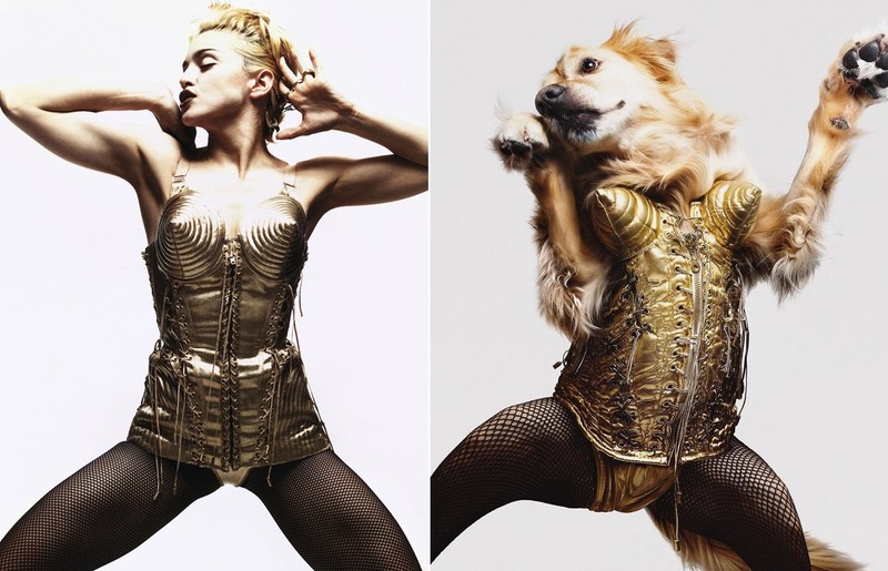 Cho hoa trang thanh nu hoang nhac Pop Madonna an tuong-Hinh-10