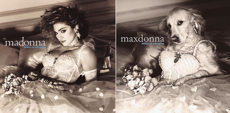 Cho hoa trang thanh nu hoang nhac Pop Madonna an tuong-Hinh-4