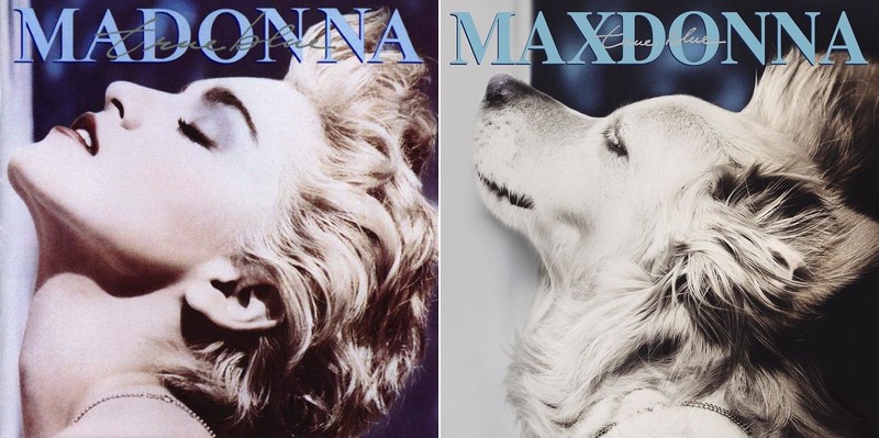 Cho hoa trang thanh nu hoang nhac Pop Madonna an tuong-Hinh-6