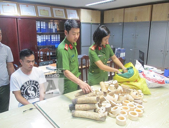 Can canh luong nga voi “khung” vua bi Cong an TP Ha Noi thu giu-Hinh-7