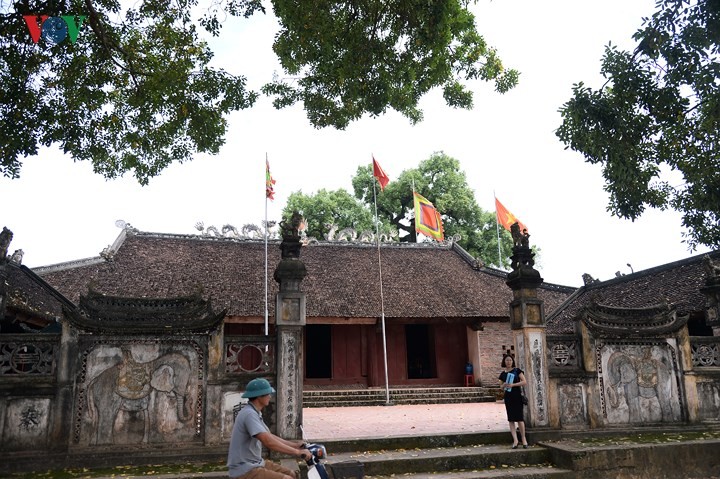 Chiem nguong cay Da Huong nghin nam tuoi o Bac Giang-Hinh-11