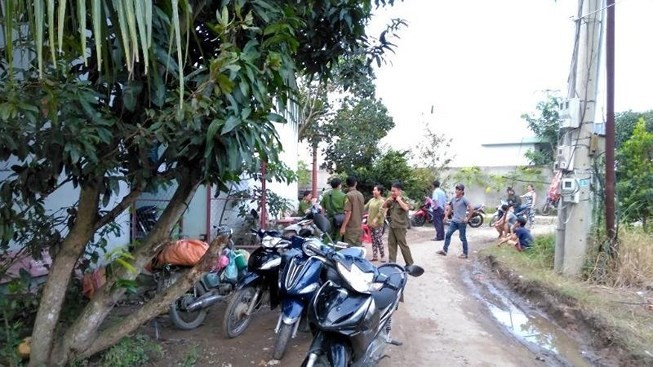 Ta hoa phat hien ban cung tro tu vong trong mung