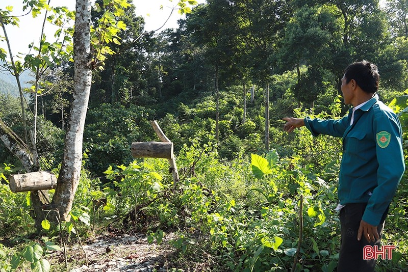 Dan san nha nghe doi mat tim bat ong o nguoc ngan Huong Son-Hinh-10