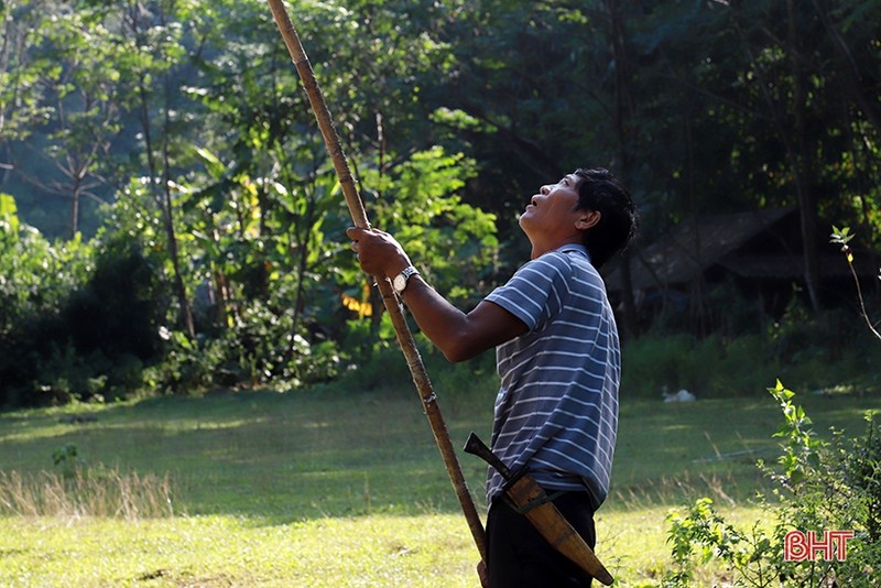 Dan san nha nghe doi mat tim bat ong o nguoc ngan Huong Son-Hinh-7