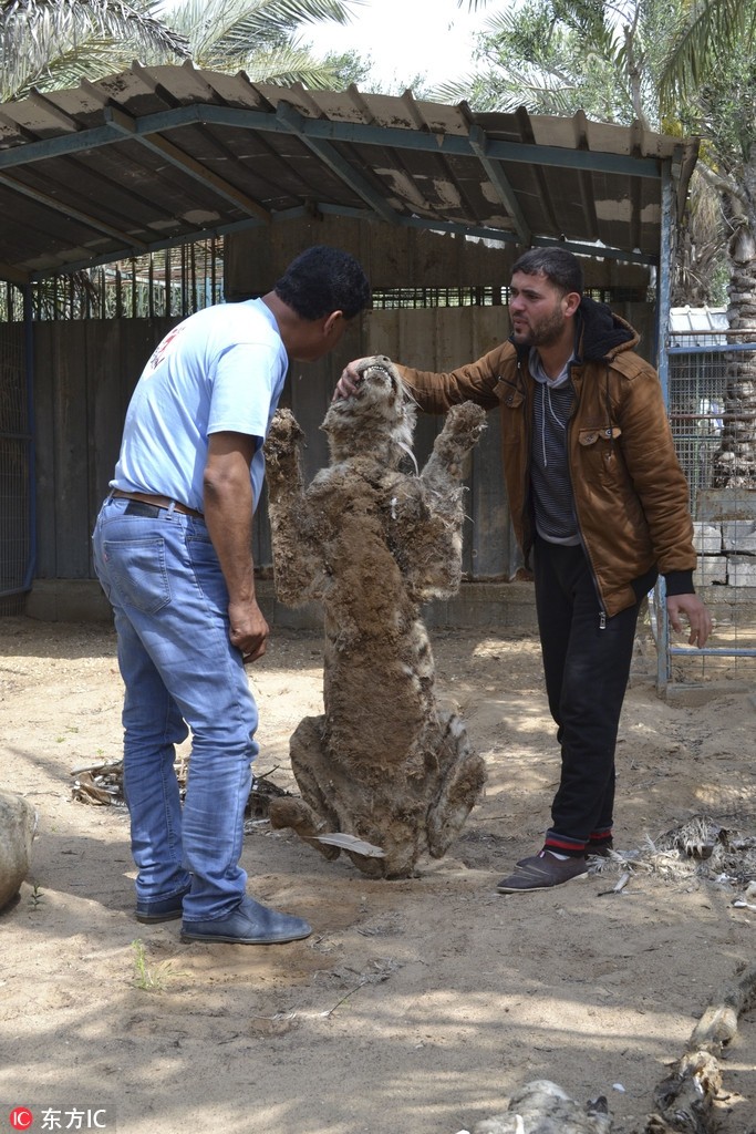 Ho van tu xac kho tai sinh ngoan muc khong ngo-Hinh-6