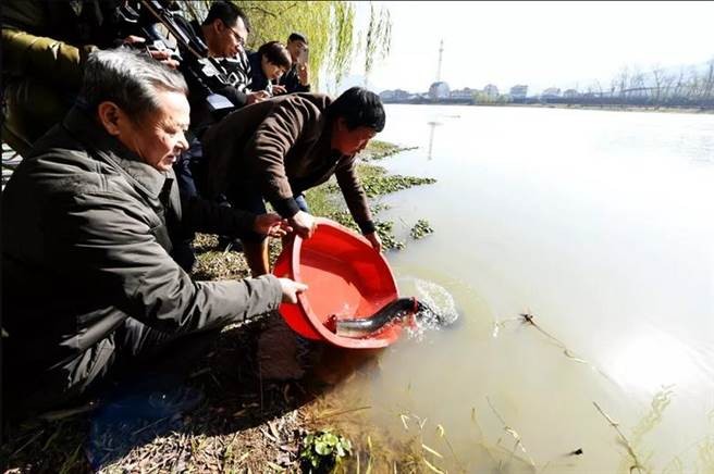 Bat duoc ca chinh sieu hiem, nguoi dan ong quyet lam dieu la...-Hinh-3