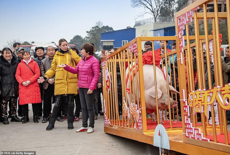 Gap Vua lon 2019 nang ca tan, can toi 24 nguoi khieng-Hinh-6