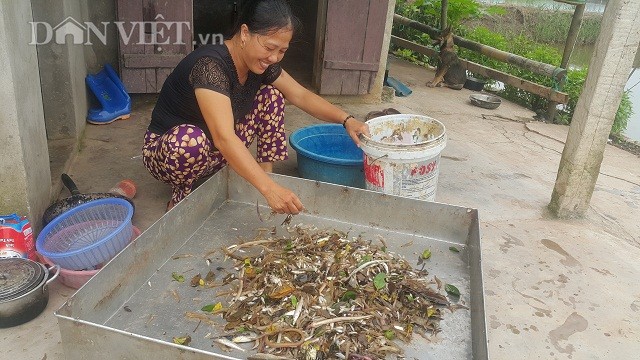 San dac san tom dat be tin hin kiem tien trieu moi ngay o Ninh Binh-Hinh-10