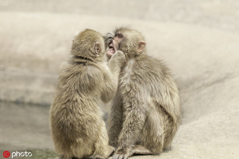 Khi nghich ngom hoc doi lam nha si, ti mi kham rang ban-Hinh-8