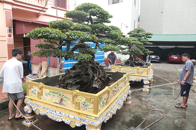 Tra 2 trieu do cho cap sanh co, chu nhan van nhat quyet khong ban