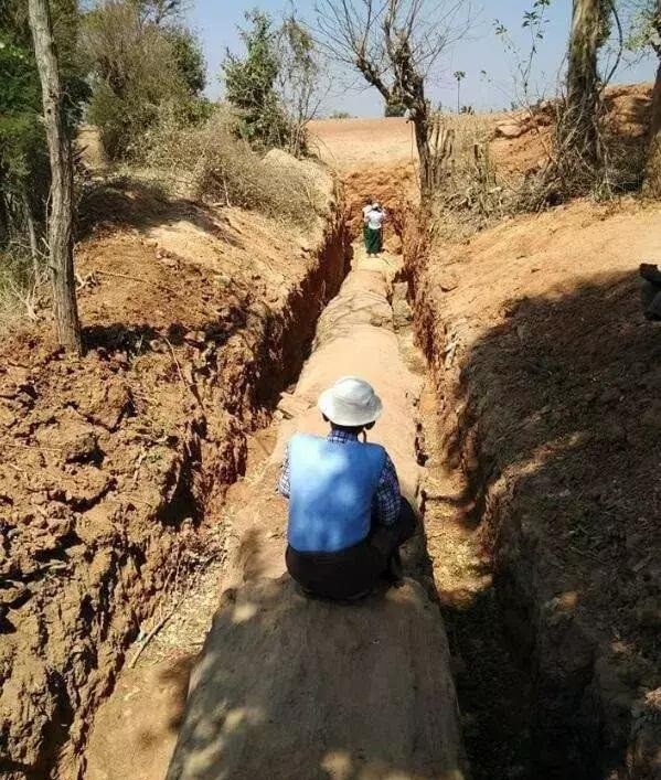 Tuong cay chet kho, ai ngo la go hoa ngoc dang gia ngan vang-Hinh-2