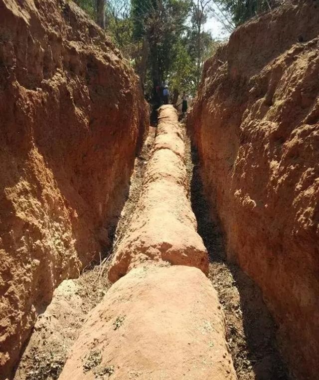 Tuong cay chet kho, ai ngo la go hoa ngoc dang gia ngan vang