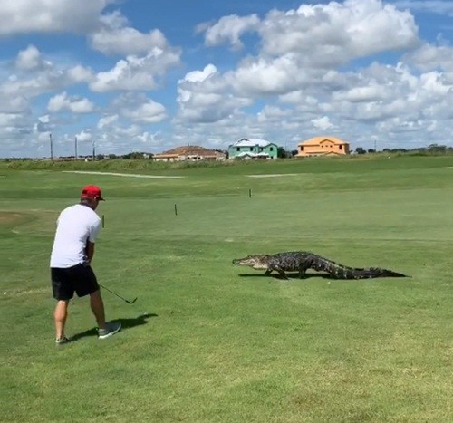 Ca sau di ngang thach thuc, tay golf hanh dong la lung