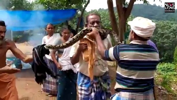 Có lòng tốt giải cứu trăn khổng lồ, người đàn ông suýt chết thảm Có lòng tốt giải cứu trăn khổng lồ, người đàn ông suýt chết thảm