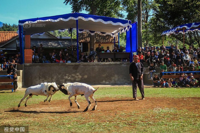 Kich tinh cuu Priangan lan xa, dau nhau chi mang-Hinh-4