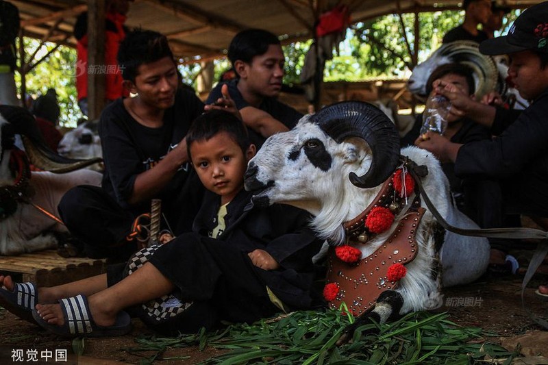 Kich tinh cuu Priangan lan xa, dau nhau chi mang-Hinh-6