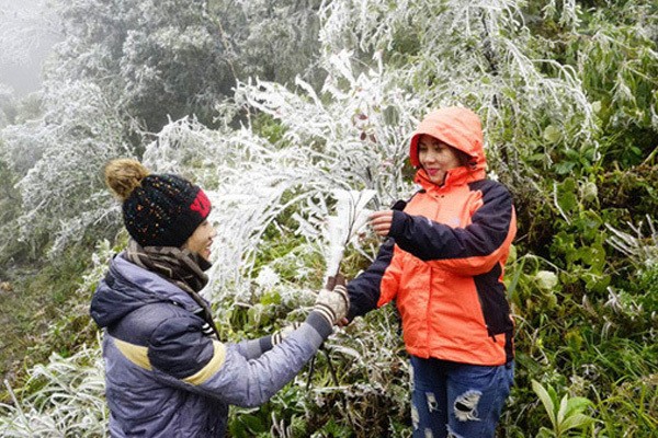 Du bao thoi tiet 4/12: Bao so 7 vao Bien Dong,  Bac Bo ret cong