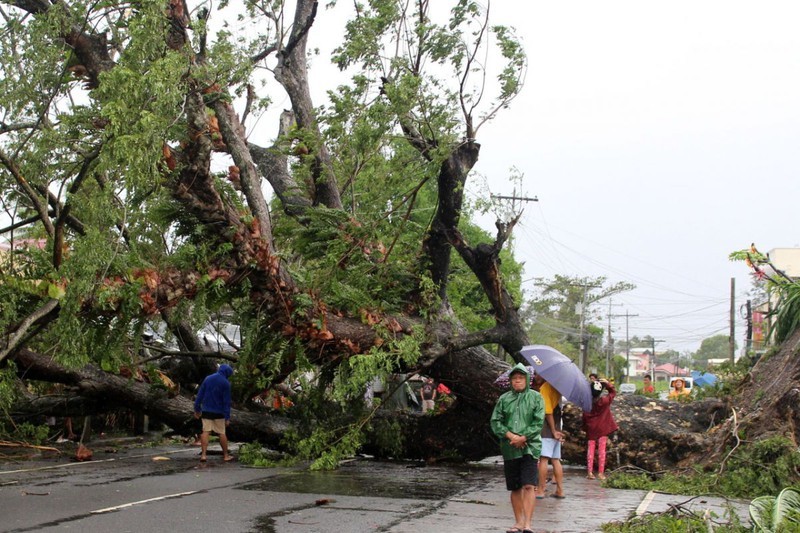 Canh tuong tan hoang nhu tan the khi bao Kammuri can quet qua Philippines-Hinh-4