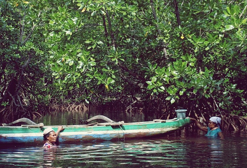 Khu rung thanh dia, noi phu nu khoa than tu do lam dieu minh thich-Hinh-3