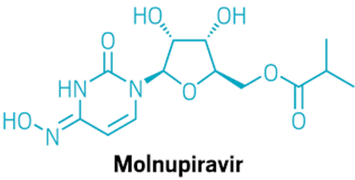 Tac dung thuoc Molnupiravir TP.HCM dung cho F0 dieu tri tai nha-Hinh-2