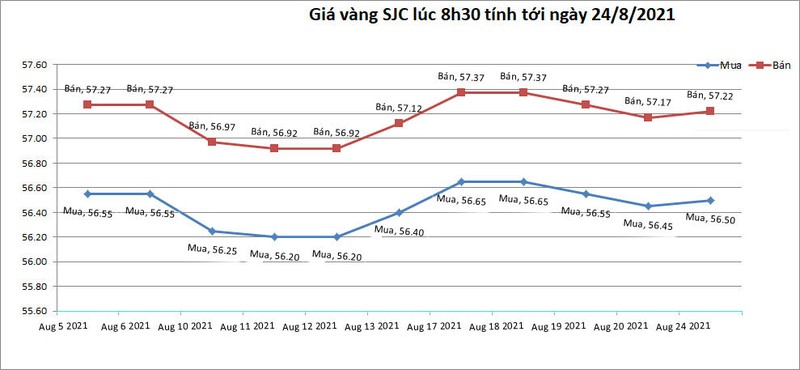 Gia vang hom nay 24/8: Tang vot, vuot tren nguong canh bao