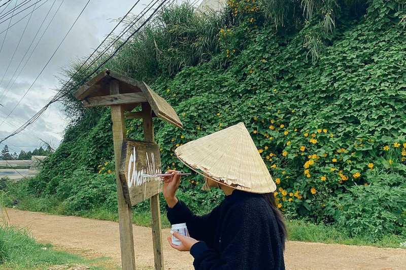 Co gai roi TP.HCM ve Da Lat, mo homestay giua nui doi-Hinh-3