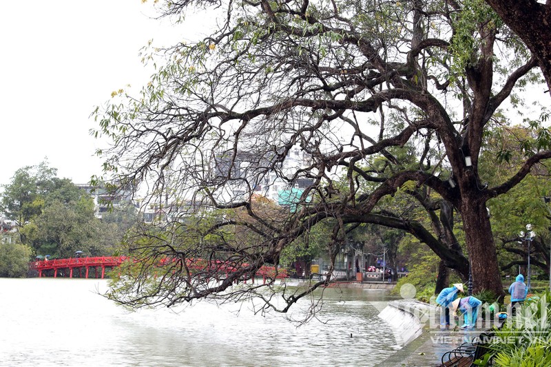 Mua ret buot o Ha Noi, can thu van dam minh o ho Guom-Hinh-2