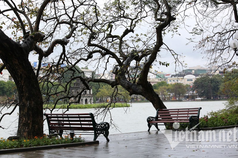 Mua ret buot o Ha Noi, can thu van dam minh o ho Guom-Hinh-3