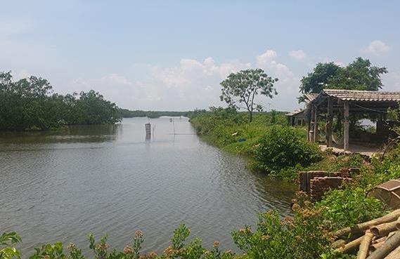 Gan 400 ha dat bi bo quen o Hai Phong: Xac dinh loat sai pham cua chu dau tu-Hinh-2