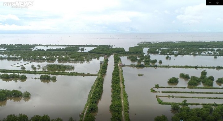 Gan 400 ha dat bi bo quen o Hai Phong: Xac dinh loat sai pham cua chu dau tu-Hinh-3